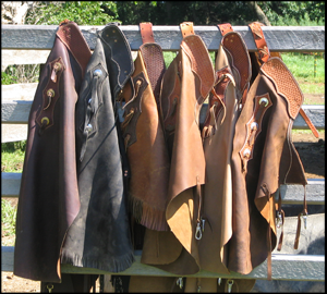 chaps on fence